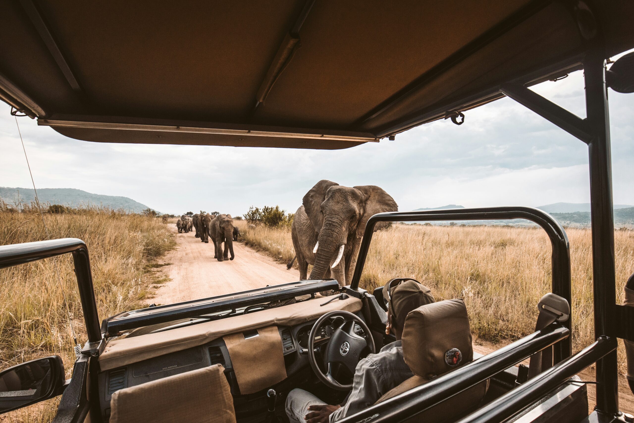 Tanzania safari